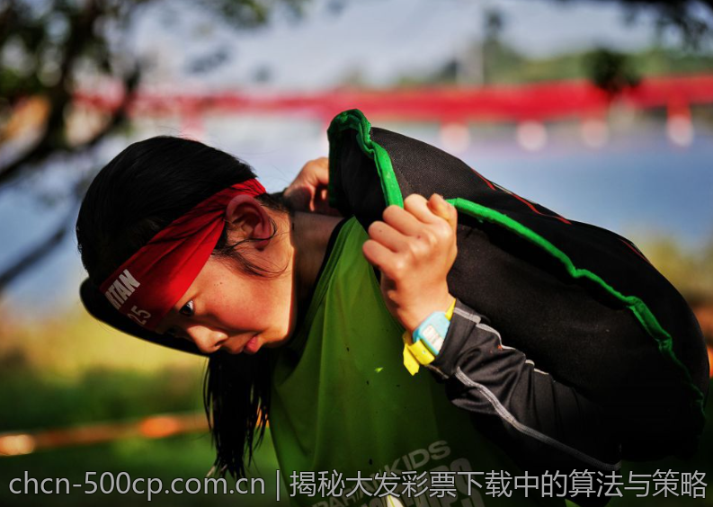 揭秘大发彩票下载中的算法与策略