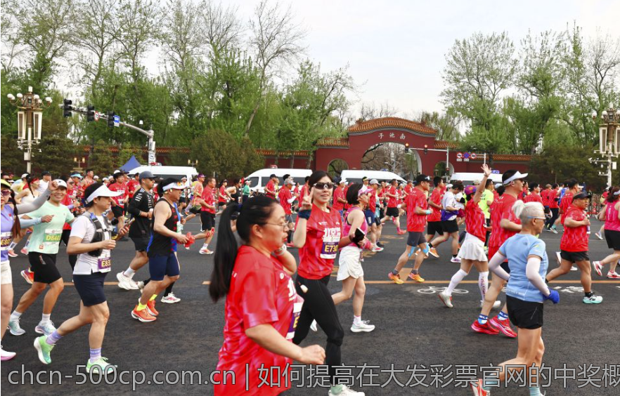 如何提高在大发彩票官网的中奖概率